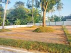 Land For Sale Pannipitiya