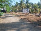 Land for Sale Pannipitiya