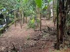 Land for Sale Pannipitiya