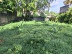 Land for sale pannipitiya polwaththa road