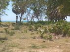 Land for Sale Pasikuda Beach