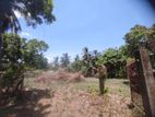 Land for Sale Pasikuda