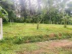 Land for Sale Pasyala