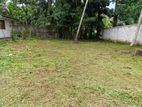 Land for Sale Pasyala