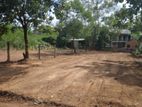 Land For Sale Pasyala