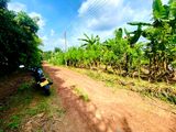 Land For Sale Pasyala