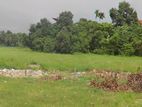 Land for Sale - Pattiyawaththa Rd, Kothalawala, Kaduwela