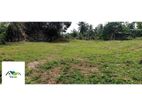 Land For Sale Pelawata Akrugeda (Dsp 984 )