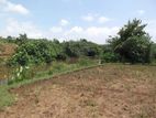 Land for sale Peliyagoda