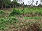 Land for Sale Peradeniya