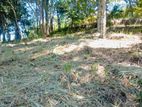 Land for Sale Peradeniya