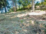 Land for Sale Peradeniya