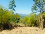 Land for Sale Peradeniya