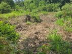 Land for Sale Peradeniya