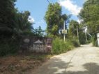 Land For Sale Pilimatalawa