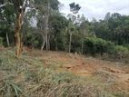 Land for Sale Pilimathalawa