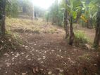 Land for Sale in Pilimathalawa