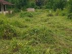 Land for Sale Pilimathalawa