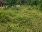 Land for Sale Pilimathalawa