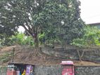 Land for Sale Pilimathalawa
