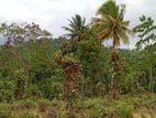 Land for Sale Pilimathalawa