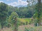 Land for Sale Pilimathalawa