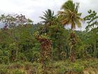 Land for Sale Pilimathalawa