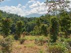 LAND FOR SALE PILIMATHALAWA