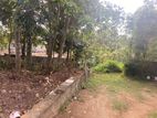 Land for Sale Pilimathalawa