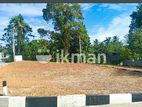 land for sale piliyandala