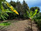 Land for Sale Piliyandala
