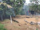 Land for Sale Piliyandala