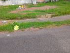 Land for Sale Piliyandala Gonamadiththa
