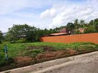 Land for Sale Piliyandala - Greenfinity Prime Lands Avenue / 8 p