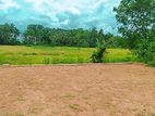 Land for Sale Piliyandala-Kahathuduwa