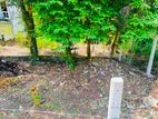 Land for Sale Piliyandala, Madapatha. (ID : PLN001)