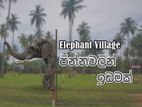 Land For Sale Pinnawala