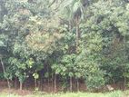 Land for Sale පින්නවල