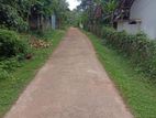 Land for Sale Pirch 30 Polgahawela