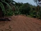 Land for sale - Pitigala