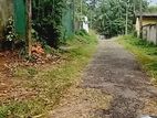 Land for Sale Pitipana