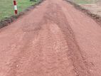 Land for Sale පල්ලිය පාර පම්බල හලාවත