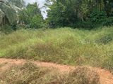 Land for Sale පන්නිපිටිය