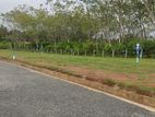 Land for Sale පොකුණුවිටින්