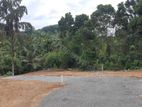 Land for Sale – Pokunuvita, Horana (Colombo Area)
