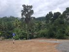 Land for Sale – Pokunuvita, Horana (Colombo Area)