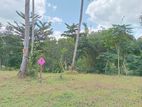 Land for Sale Polgahawela