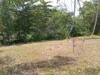 LAND FOR SALE POLGAHAWELA