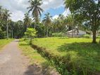 Land For Sale Polgahawela