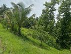 Land for Sale Polgahawela